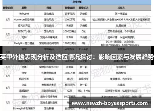 英甲外援表现分析及适应情况探讨：影响因素与发展趋势
