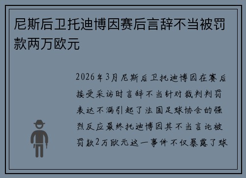 尼斯后卫托迪博因赛后言辞不当被罚款两万欧元